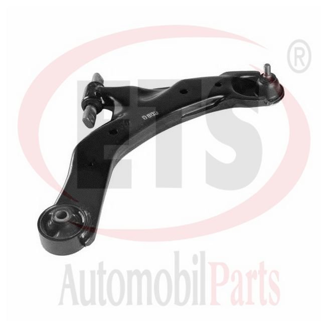 SALINCAK ALT SAG- CERATO 04-09