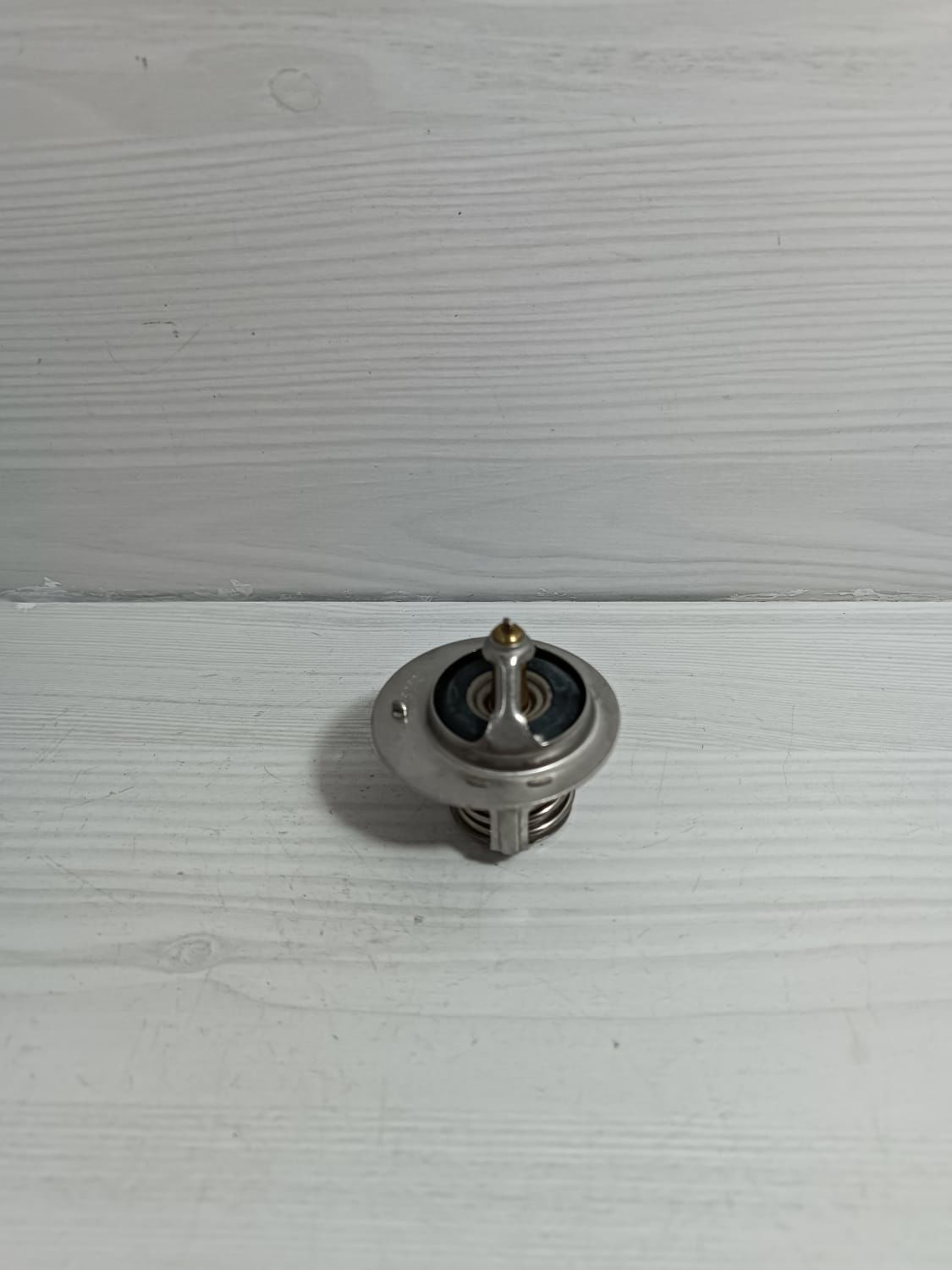 Termostat Rio/Sephia/Shuma 00-