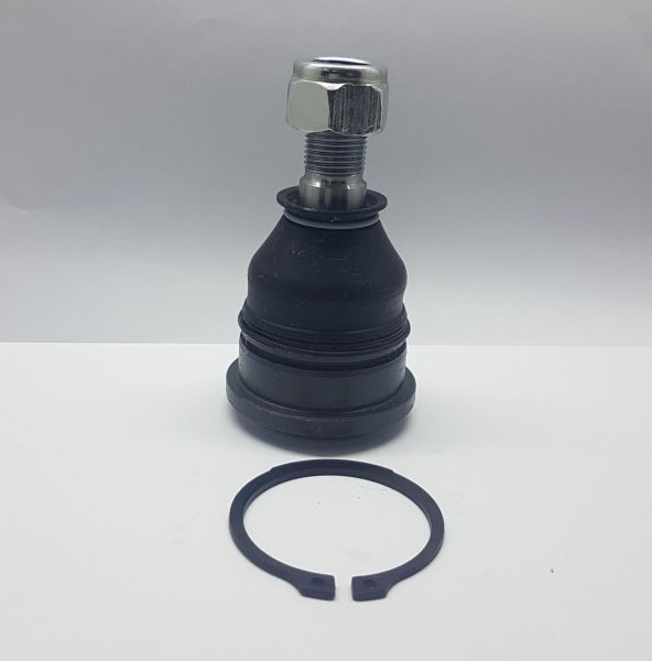 Rotil D21/D22 Alt 1998-2002 4X2