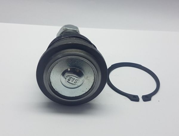 Rotil D21/D22 Alt 1998-2002 4X2