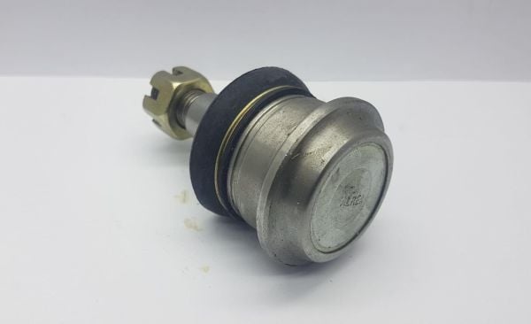 Rotil Maxima 1991-1998