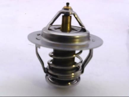 TERMOSTAT-PRIMERA 1.6 /SUNNY  (SPD)