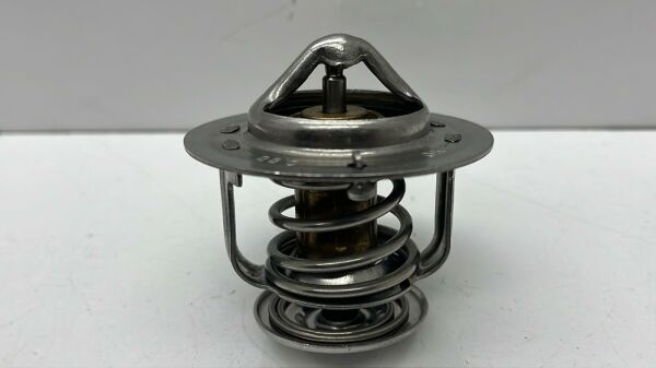 Termostat Accent 00-