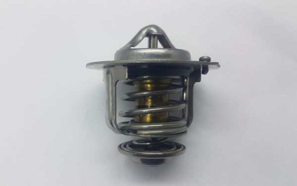 Termostat Accent 00-