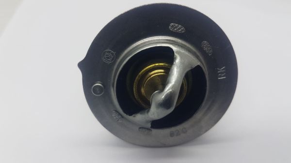 Termostat Accent 00-