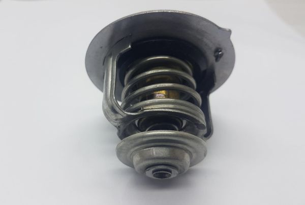 Termostat Accent 00-