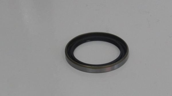 H100 KMY 04- ARKA AKS KEÇESİ İÇ