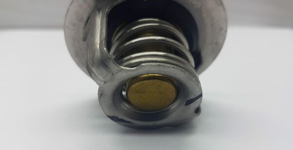 Termostat Accent 95-00