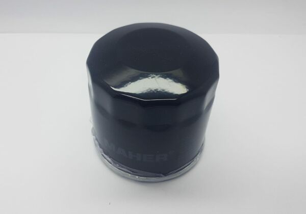 YAG FILTRE 323/CARISMA