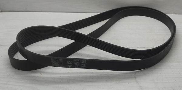 Kayıs Civic 06- Typer H.Back