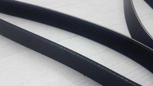 Kayıs Civic 06- Typer H.Back