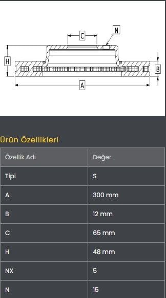 FREN DISKI ARKA (300)- PASSAT / Q3 / TIGUAN / SUPERB 15-