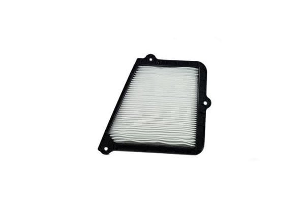 POLEN FILTRESI- BONGO 04-