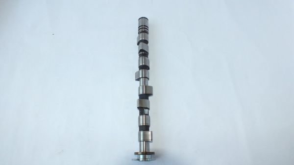 ALBEA / PALİO / EGEA / DOBLO 1,4 fire 8V EKSANTRİK MİLİ YAĞLI KASNAK