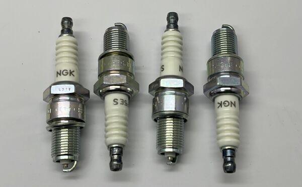 Buji Tüm Japon Kalin