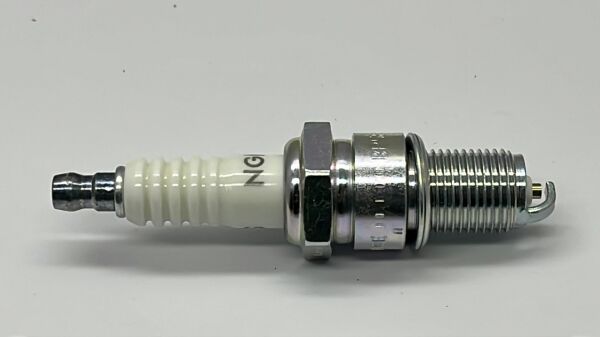 Buji Tüm Japon Kalin