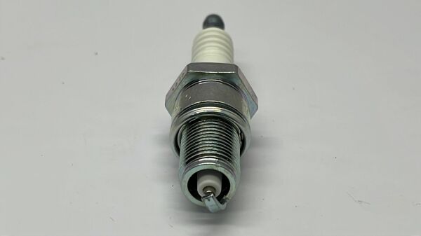 Buji Tüm Japon Kalin