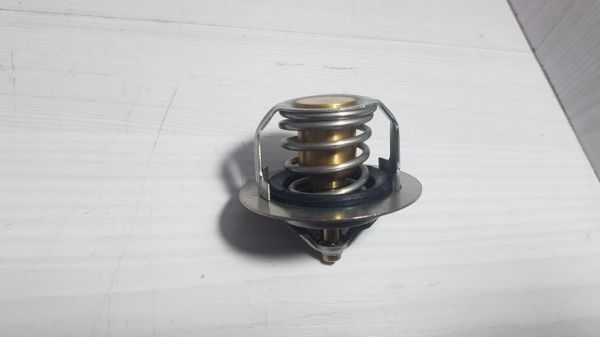 accent termostat 2000-