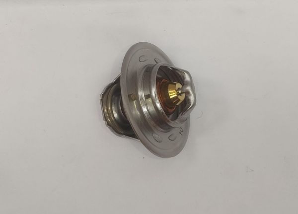 TERMOSTAT ACCENT 00-