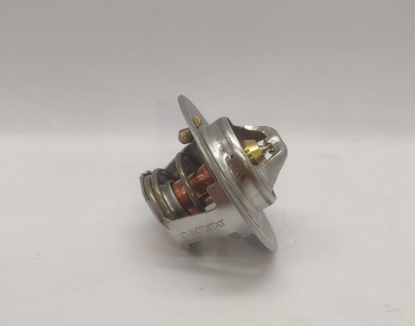 TERMOSTAT ACCENT 00-