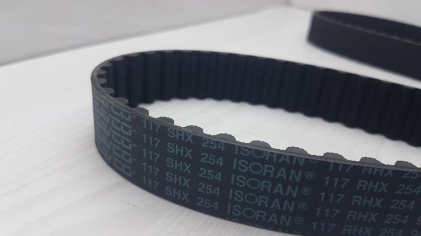 Triger Kayısı Sunny Dizel (117 DIŞ)