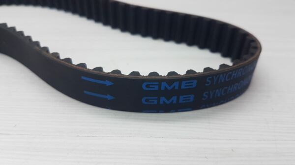 Balans kayısı H100 E.M. (83 DIŞ)