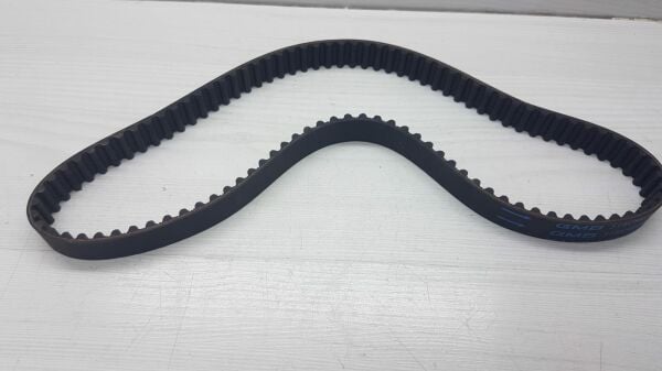 Balans kayısı H100 E.M. (83 DIŞ)