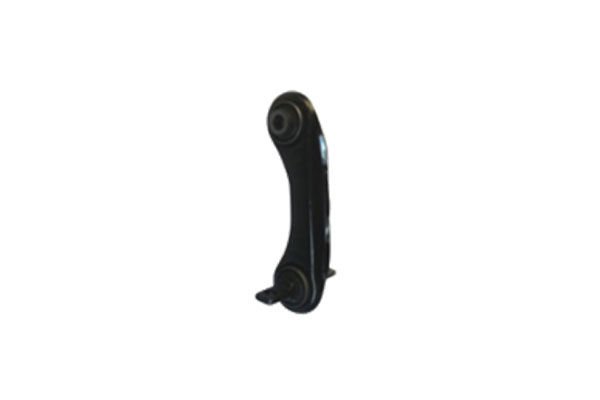 DENGE KOLU ARKA SOL (KISA)- CARISMA 98-