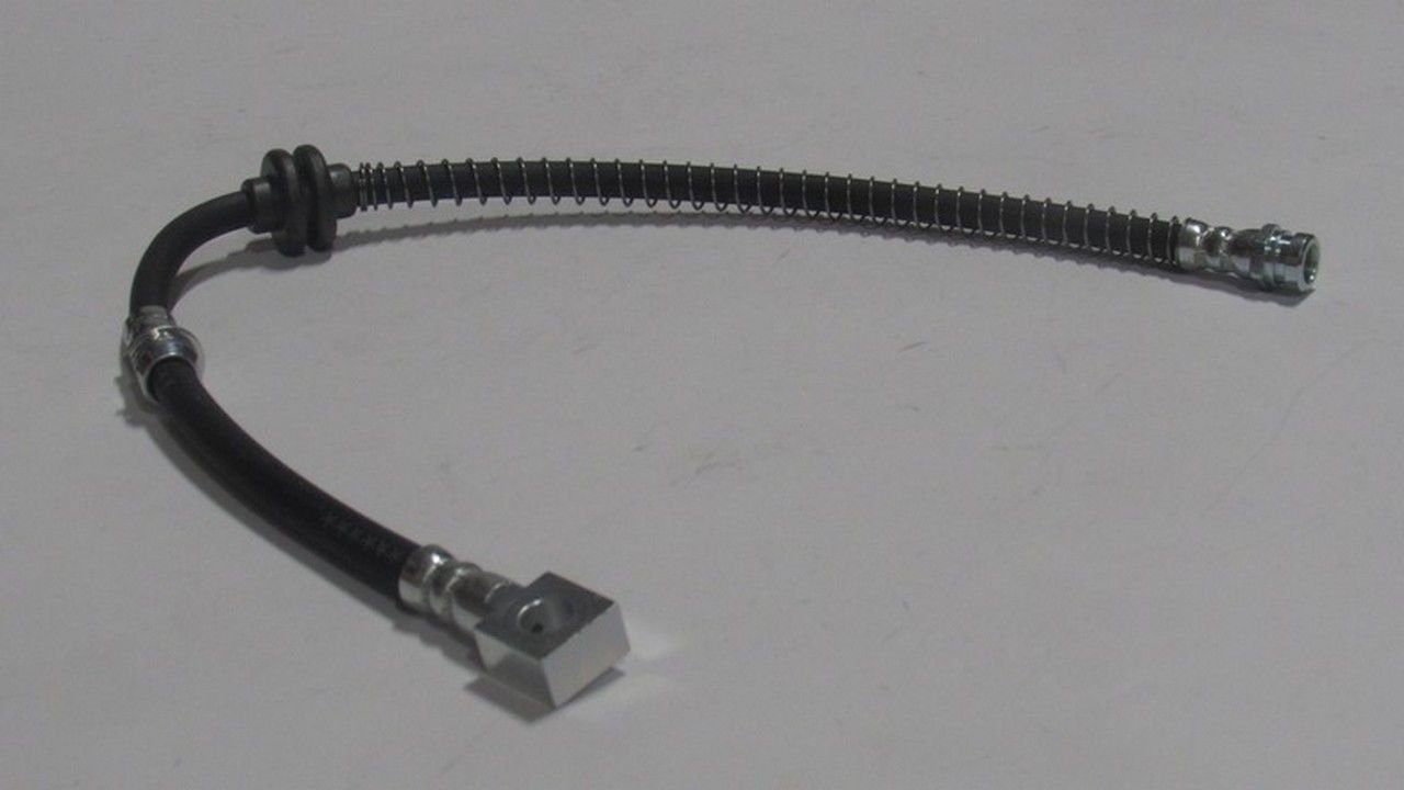 CARNIVAL 1999-2001 FREN HORTUMU ÖN SOL