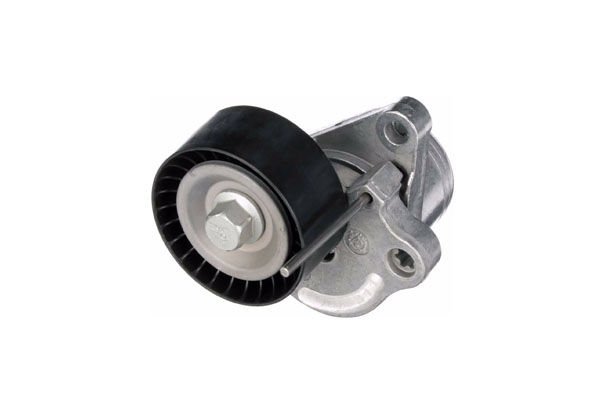 V KAYIS GERGI RULMANI (AYARLI)- NAVARA 2.3 / QASHQAI 2.0 DCI / XTRAIL 2.0 DCI / TRAFFIC / LOGAN / KOLEOS