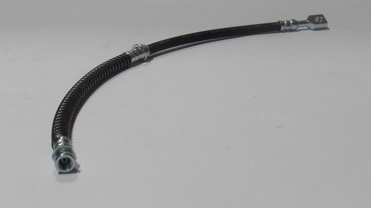 PREGIO 1995- FREN HORTUMU ÖN