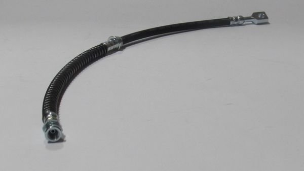 PREGIO 1995- FREN HORTUMU ÖN