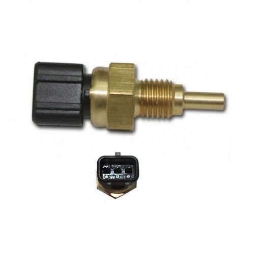 MUSUR HARARET RIO 00- / SHUMA 01-