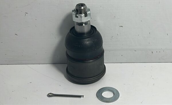 Rotil Accord 08- Alt