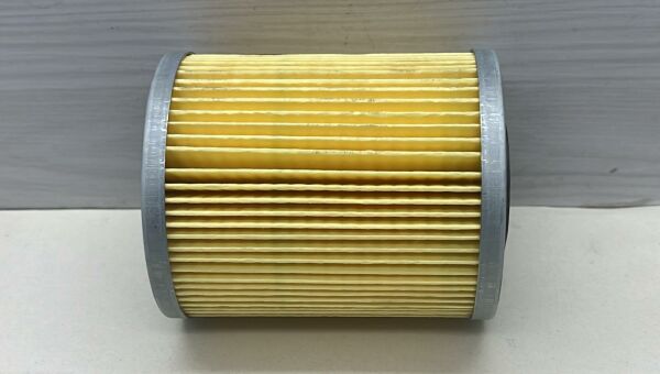 Mazot Filtre Carisma 02-05