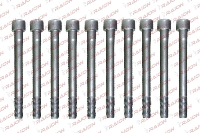 SILINDIR KAPAK SAPLAMA TAKIM (10 AD)- ACCENT 95-00