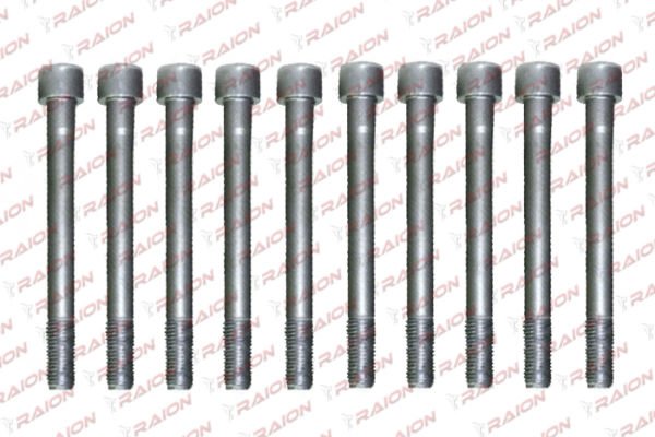 SILINDIR KAPAK SAPLAMA TAKIM (10 AD)- ACCENT 95-00