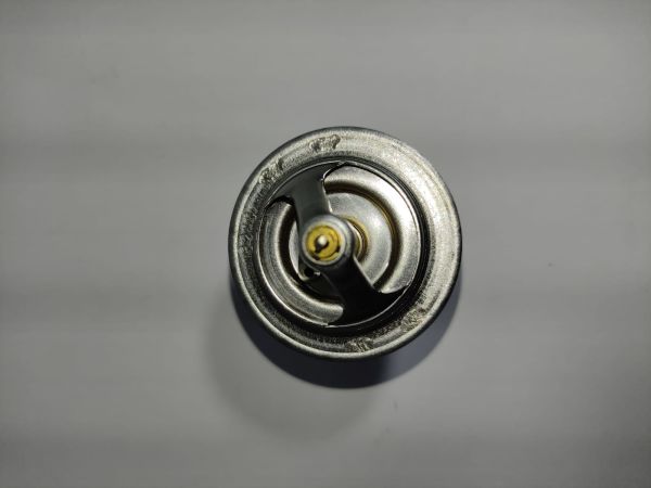 Termostat Sunny/Primera 1.6/Corolla