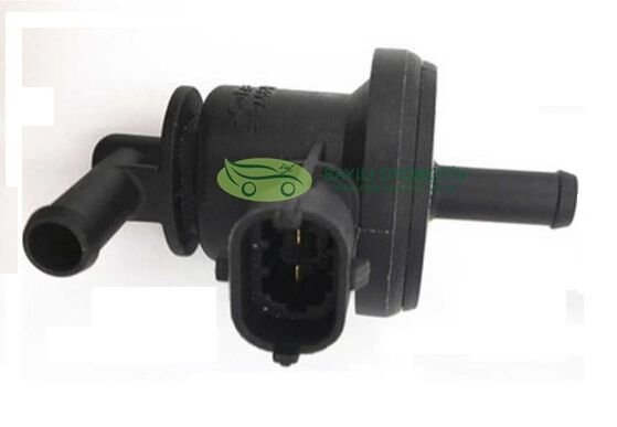 VALF EMIS KONTROL ELANTRA 11- / BLUE