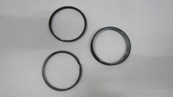 WFR 4FG1 SEGMAN SET TAKIM