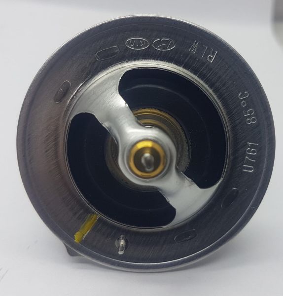 Termostat Blue/ i30 Dizel