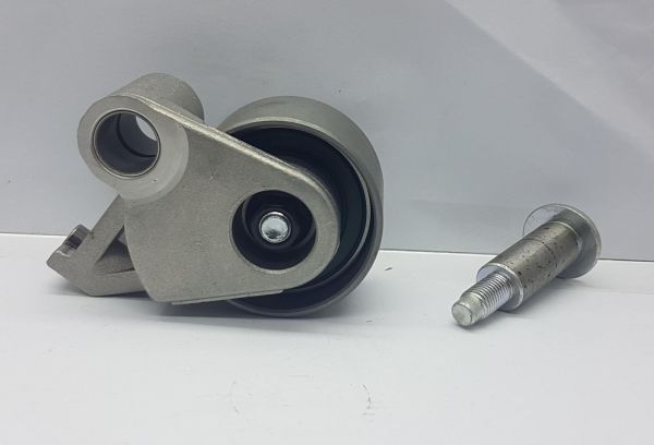 triger gergi rulmanı 323