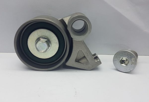 triger gergi rulmanı 323