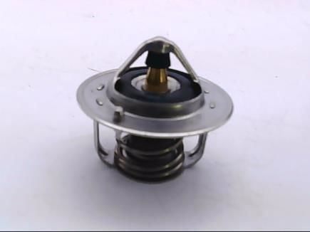 TERMOSTAT (54-88) - ACCENT 1.3-1.5 00-05 / GETZ 1.3 02-05 / SPORTAGE 2.0 TD 97-03 / BLUEBIRD / MICRA K11 92-03 / ROVER 200-400