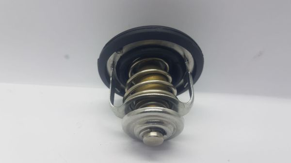 Termostat Civic/Accord 78C